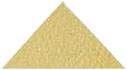 buckskin